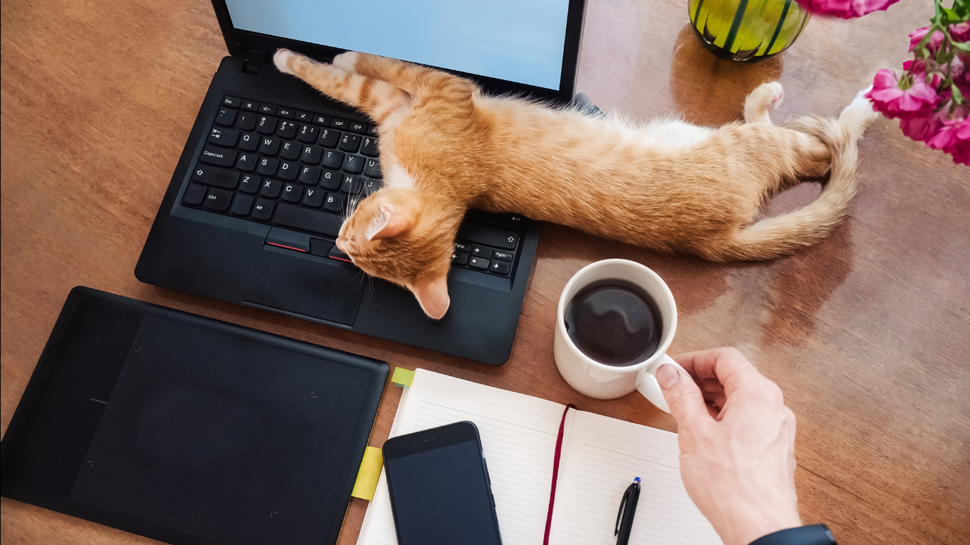 【起業ビギナー向け】“やってみたい”をカタチにする｜ビジネス講座開催のお知らせ